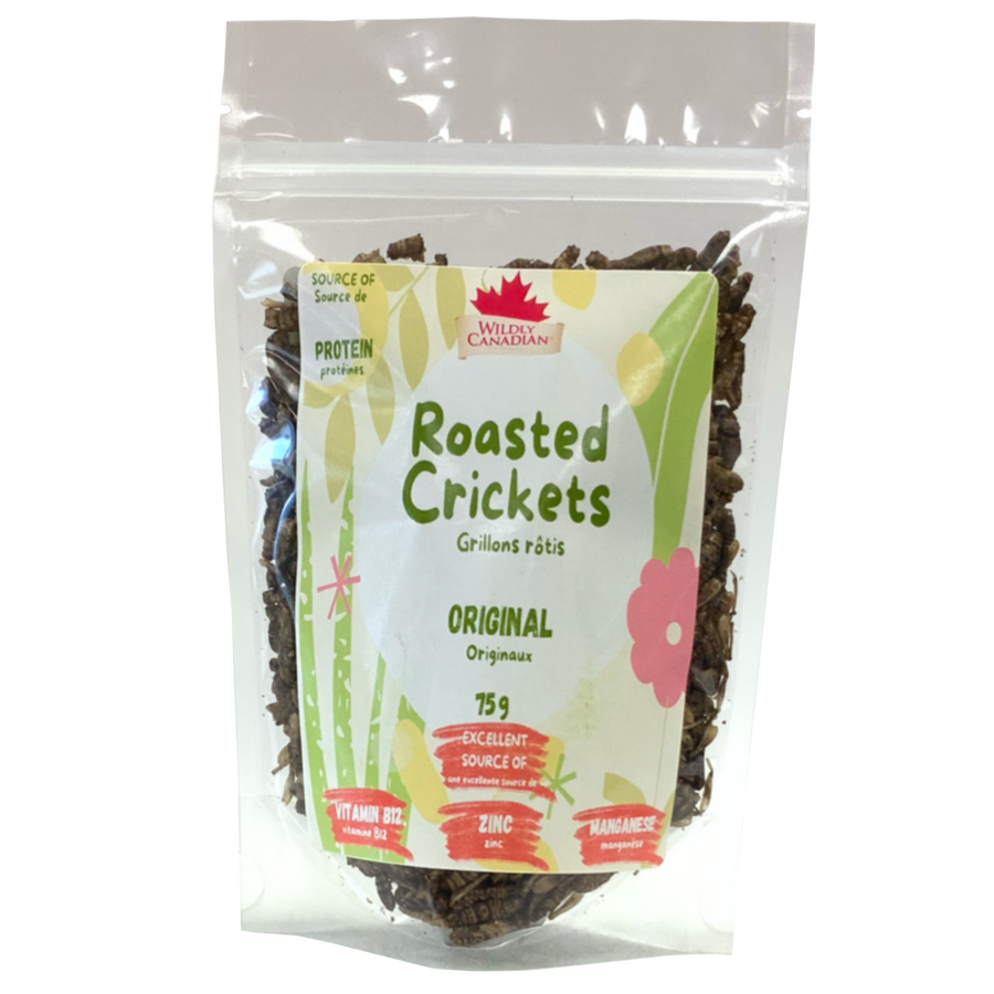 Original Roasted Crickets