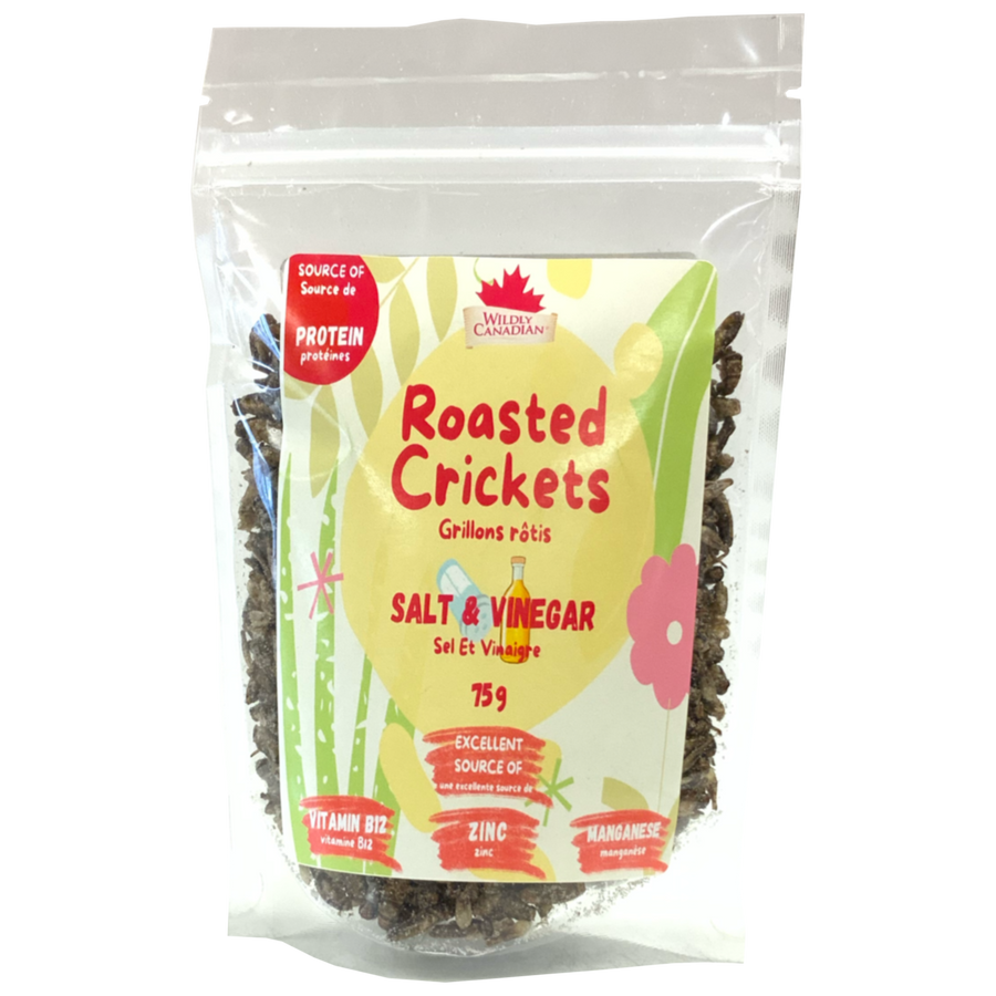 Salt & Vinegar Roasted Crickets